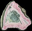 Rhodochrosite Stalactite Slice with Pyrite - Argentina #63087-1